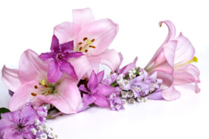 Girlande aus zarten lila Blüten, Clematis und rosa Lilien