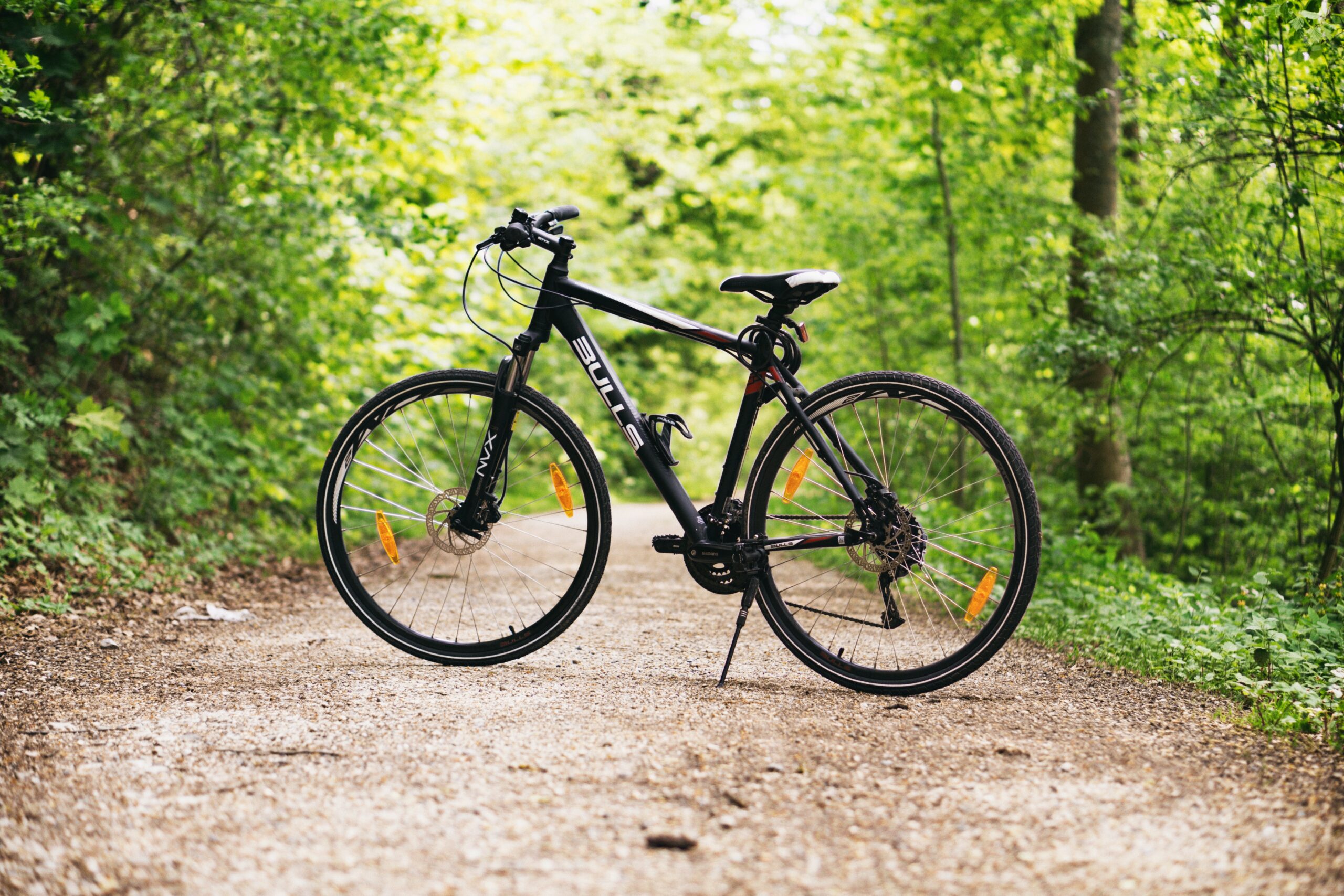 Fahrrad in einem Wald.